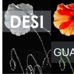 Reducció de les desigualtats