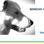 ACTIVITATS DE SENSIBILITZACIÓ AL BENESTAR ANIMAL