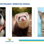 Tinença i Comportaments amb animals domèstics